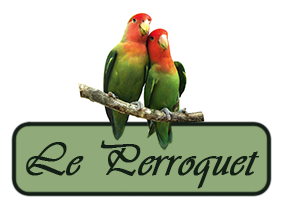 Le Perroquet Rumelange
